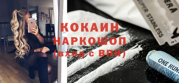 сатива Арсеньев