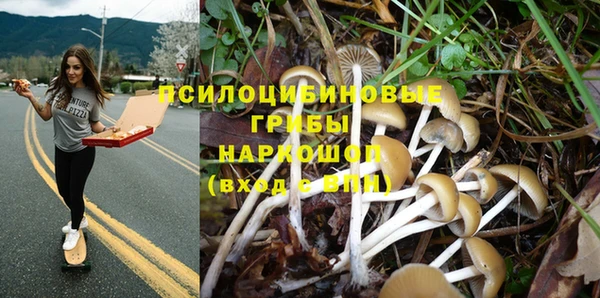 ГАЛЛЮЦИНОГЕННЫЕ ГРИБЫ Балахна