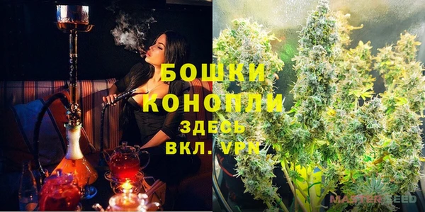 сатива Арсеньев