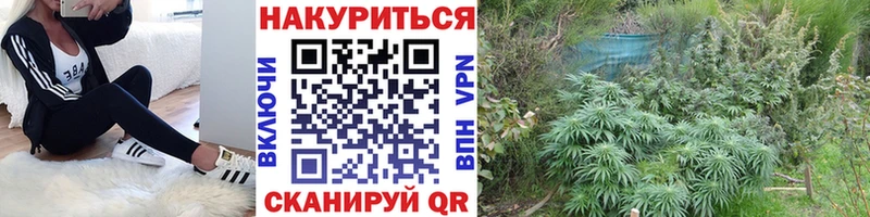Бошки Шишки AK-47  Мариинский Посад 